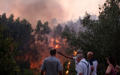 Portugalia: 20 dużych pożarów lasów i łąk wraz falą upałów