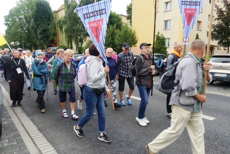 Grupa 1 - 40. Oświęcimska Piesza Pielgrzymka na Jasną Górę - 2023