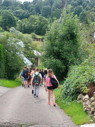 Z Trzetrzewiny do Mszany Dolnej