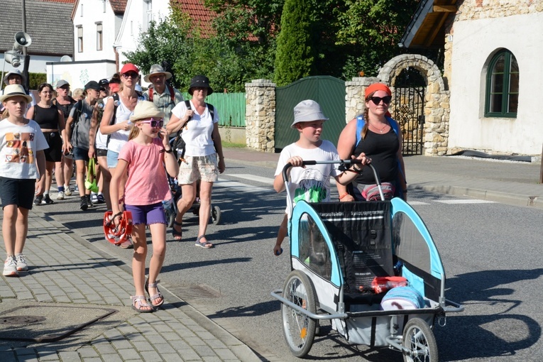 Strumień opolski w Kamieniu Śląskim