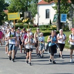 Strumień opolski w Kamieniu Śląskim