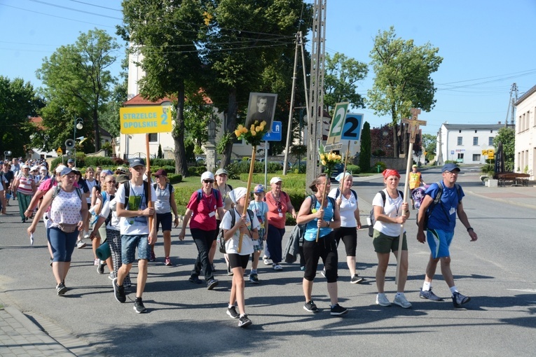 Strumień opolski w Kamieniu Śląskim