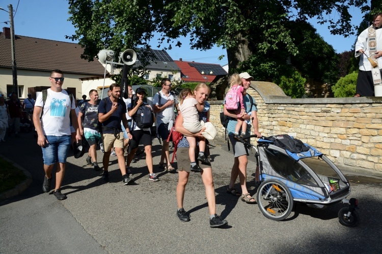 Strumień opolski w Kamieniu Śląskim