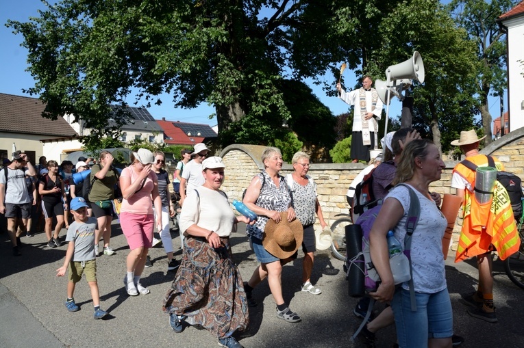 Strumień opolski w Kamieniu Śląskim