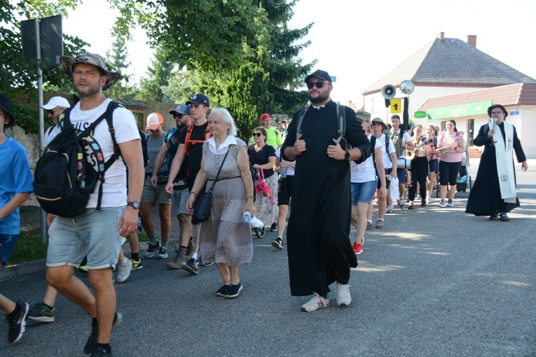 Strumień opolski w Kamieniu Śląskim