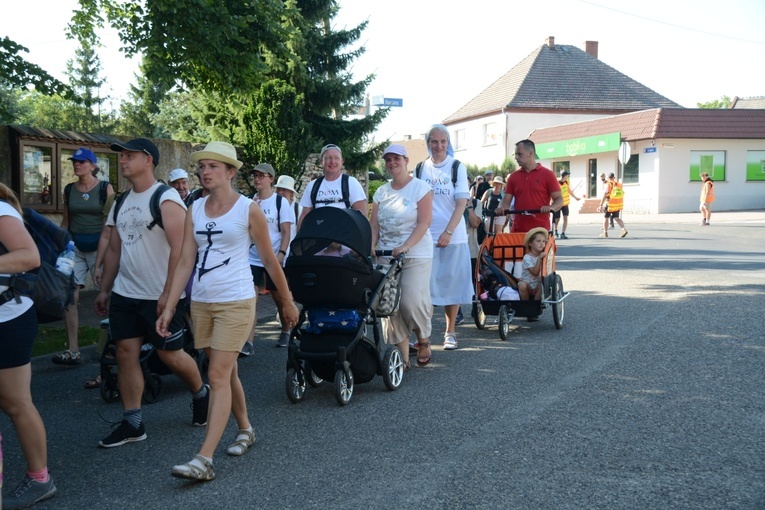 Strumień opolski w Kamieniu Śląskim