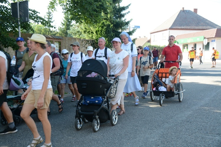 Strumień opolski w Kamieniu Śląskim