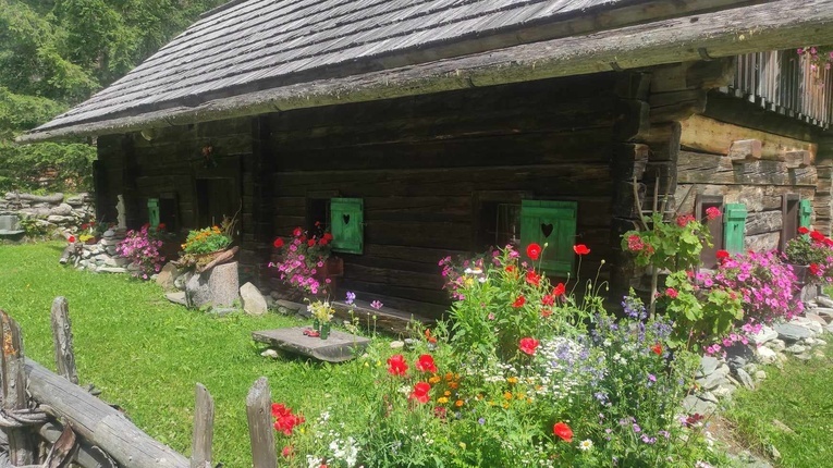 Hyzop służył dawniej do oczyszczania domów