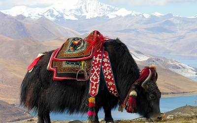 Chińscy naukowcy wzywają do porzucenia nazwy Tybet na rzecz chińskiej wersji Xizang