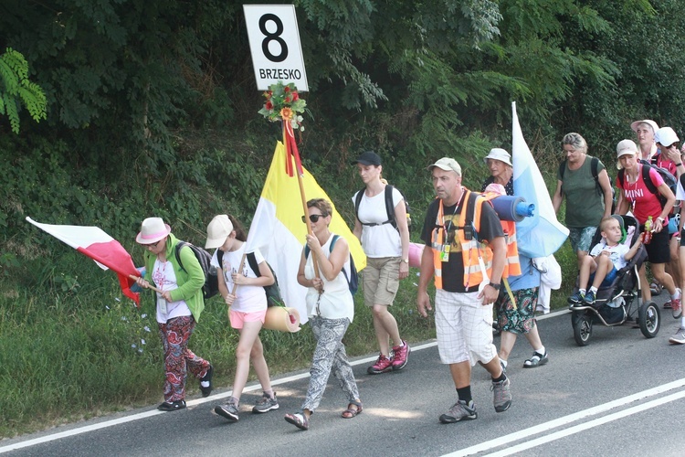 Grupa 8