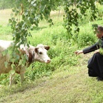 Białogrzbiete w Ciężkowicach