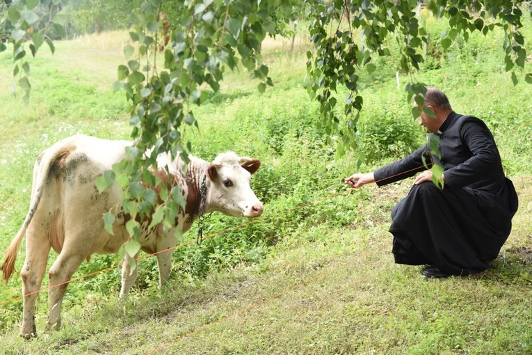 Białogrzbiete w Ciężkowicach