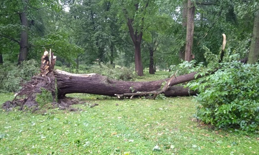 Wichura niszczyła domy, łamała drzewa, ucierpiał granitowy krzyż