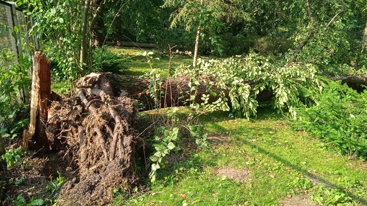 Zniszczenia po nawałnicy