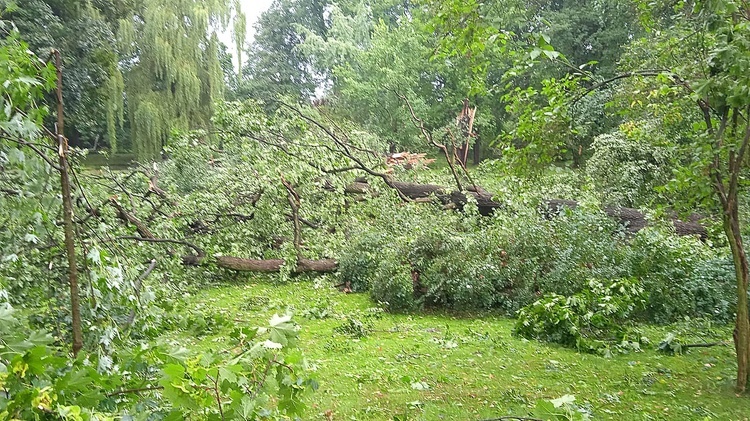 Zniszczenia po nawałnicy