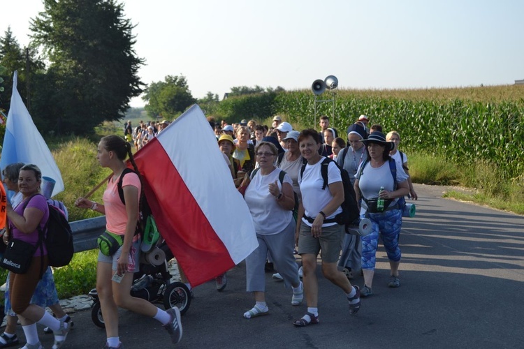 Grupa 8