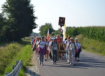 Grupa 11