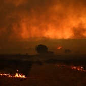 Grecja: Wybuchły nowe pożary