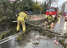 Śląskie. Burze i grad. Największe straty na Podbeskidziu