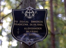 Przy symbolicznym grobie Aleksandra Młyńskiego "Drągala" i ostatnich Żołnierzy Wyklętych Ziemi Radomskiej w lesie w Kolonii Wawrzyszów odbędzie się apel poległych i zostaną złożone wiązanki.