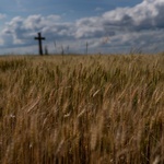 Kamienne krzyże bruśnieńskie