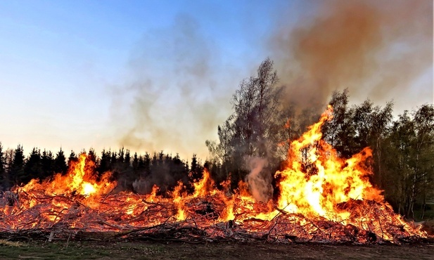 Śląskie. Kłobuccy policjanci zatrzymali nastolatka, który miał podpalać lasy
