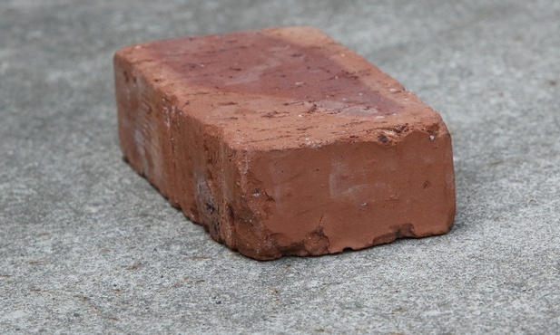 Próbki DNA ze starożytnej cegły