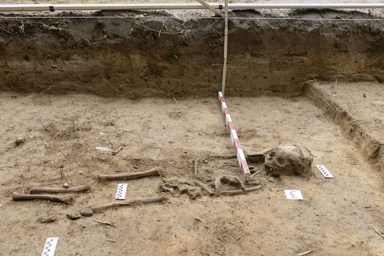 Nieznane dotąd miejsce pochówków odnaleźli archeolodzy w Ogrodzie Botanicznym.