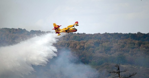 Grecja utraciła w tym roku w pożarach 161 tys. hektarów lasów, najwięcej ze wszystkich krajów południa Europy