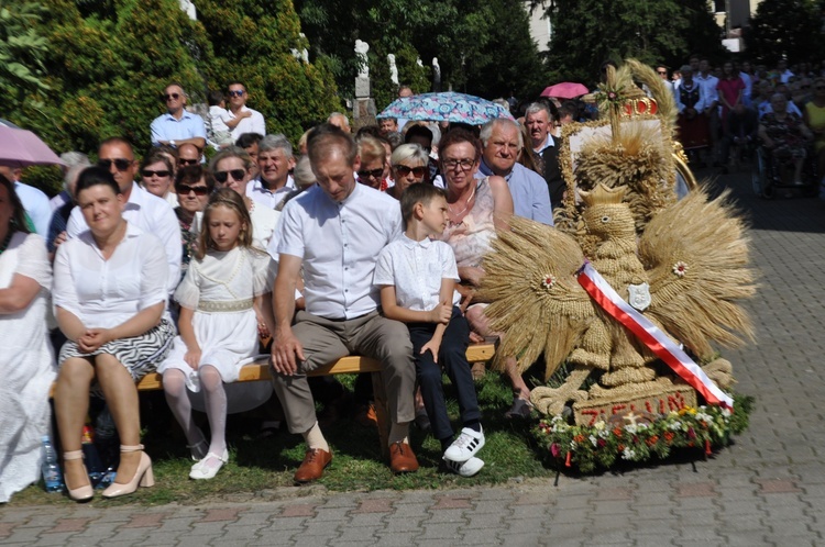 Żuromin. Odpust i dożynki