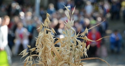 W niedzielę odbędą się diecezjalne dożynki