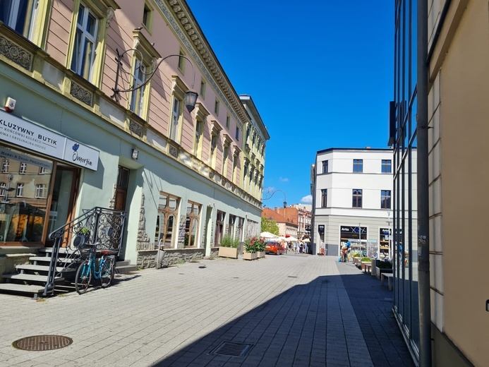 Rybnik. Podsumowano 100 dni kampanii informacyjnej wokół "Parku Kulturowego"