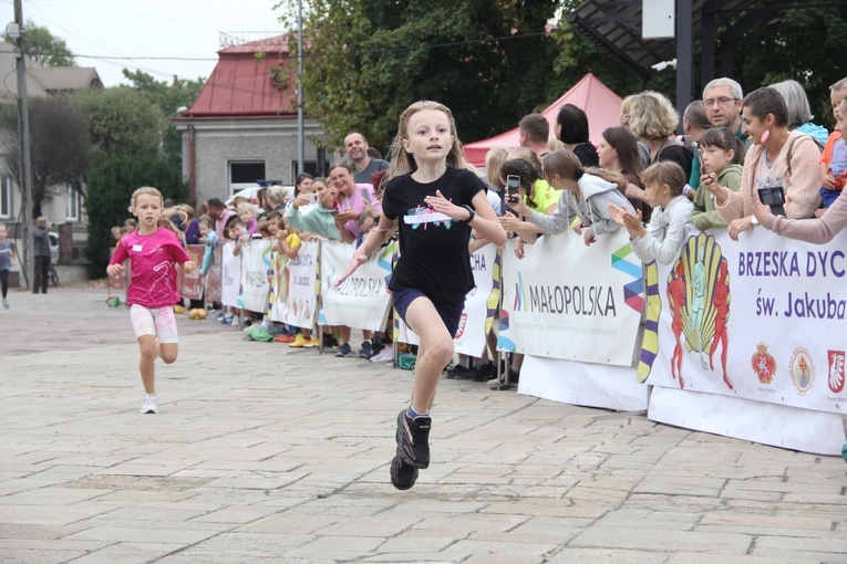 V Brzeska Dycha św. Jakuba