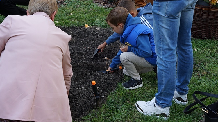 Akcja charytatywna Pola Nadziei w Dzierżoniowie 