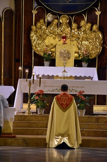 Rejonowe spotkanie parafialnych zespołów presynodalnych - Nowy Dwór