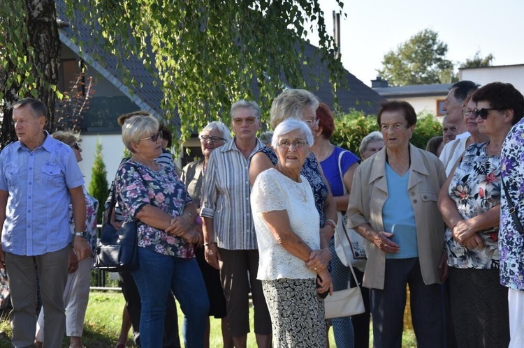 Dębica-Latoszyn. Koronka na ulicach miast