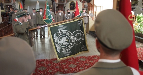 Darzbór w legnickiej katedrze