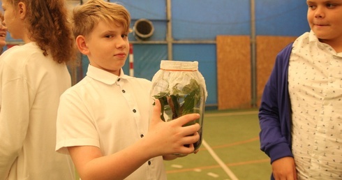 Patyczaki od św. Franciszka