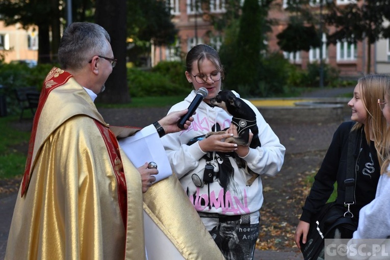 Błogosławieństwo zwierząt w Nowej Soli