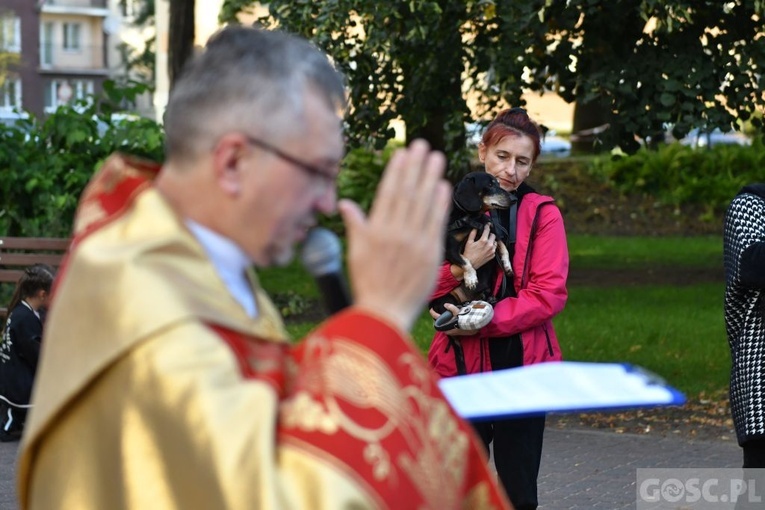 Błogosławieństwo zwierząt w Nowej Soli