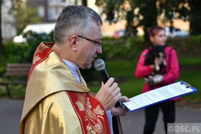 Błogosławieństwo zwierząt w Nowej Soli