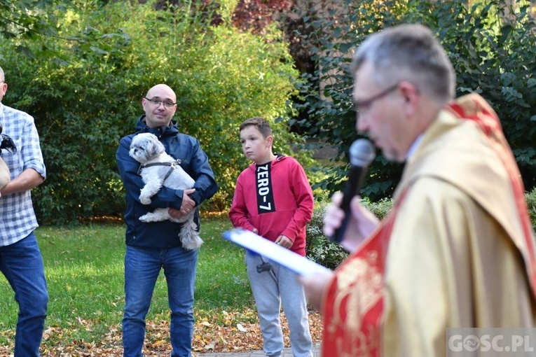 Błogosławieństwo zwierząt w Nowej Soli