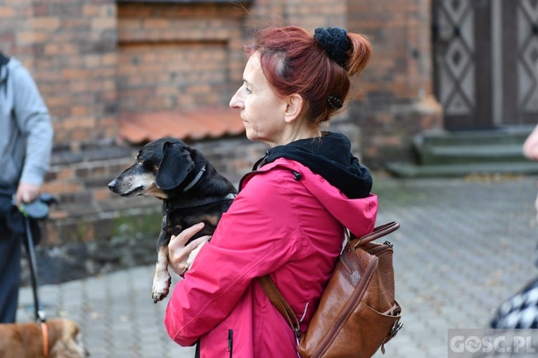 Błogosławieństwo zwierząt w Nowej Soli