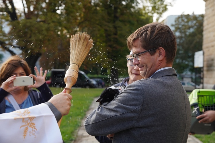 Błogoslawieństwo zwierzat w dzień św. Franciszka z Asyżu