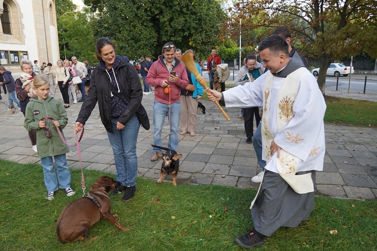 Błogoslawieństwo zwierzat w dzień św. Franciszka z Asyżu