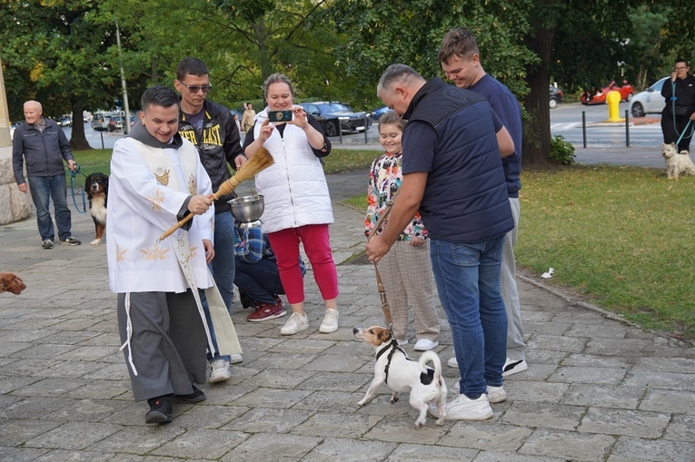 Błogoslawieństwo zwierzat w dzień św. Franciszka z Asyżu