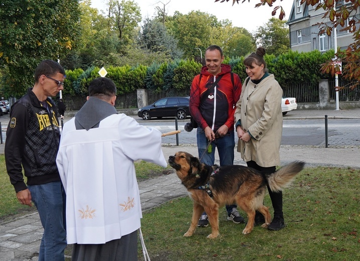 Błogoslawieństwo zwierzat w dzień św. Franciszka z Asyżu