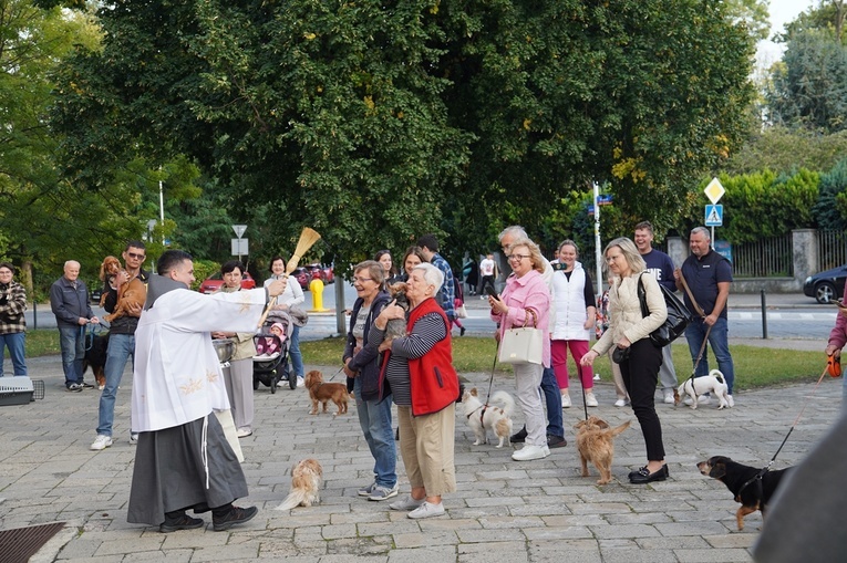 Błogoslawieństwo zwierzat w dzień św. Franciszka z Asyżu