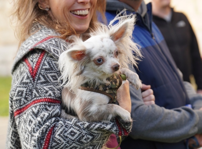 Błogoslawieństwo zwierzat w dzień św. Franciszka z Asyżu