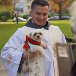 Błogoslawieństwo zwierzat w dzień św. Franciszka z Asyżu